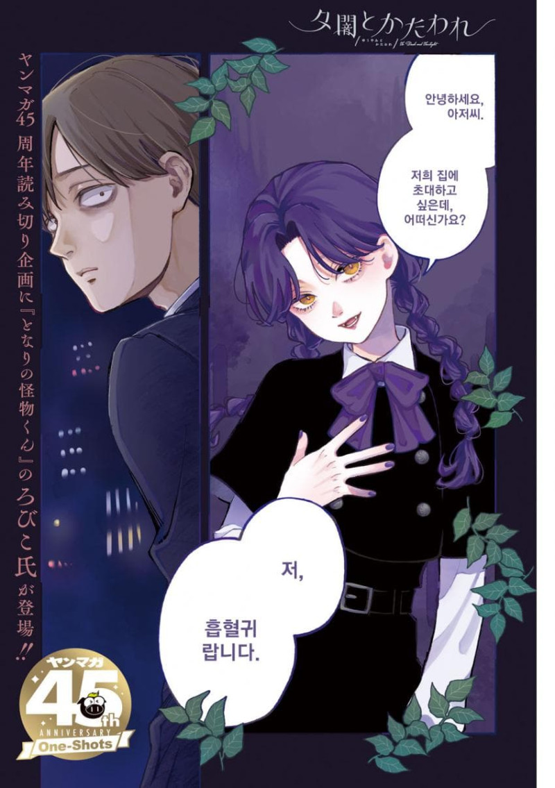 황혼과 그림자