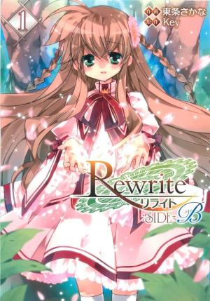 리라이트 Rewrite SIDE-B